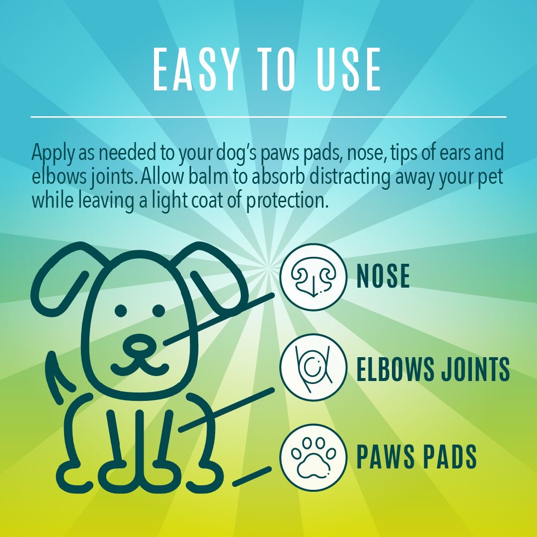 PAWSSIBLE PET PROTECTOR BALM