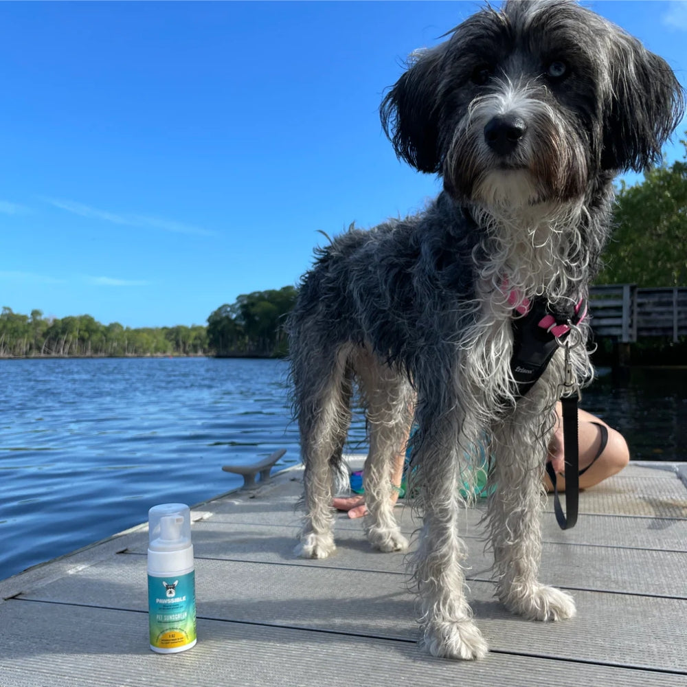 Pawssible Pet Sunscreen