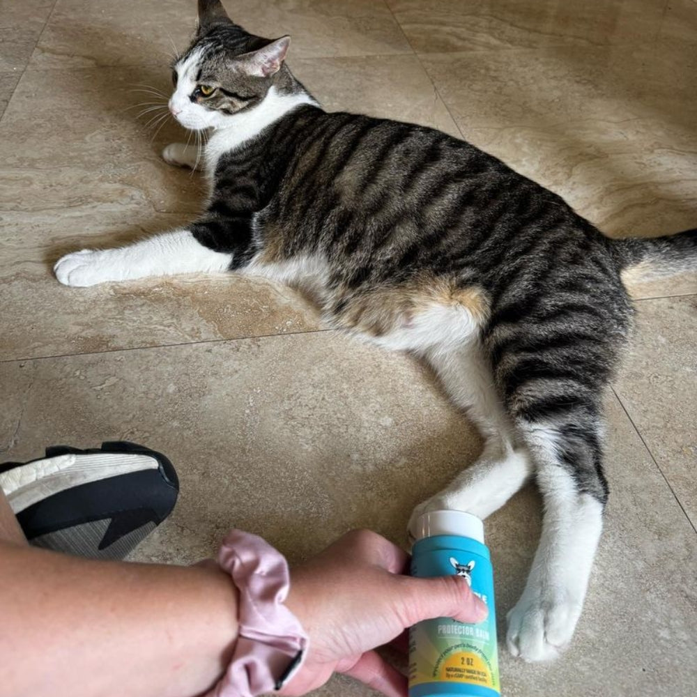 PAWSSIBLE PET PROTECTOR BALM