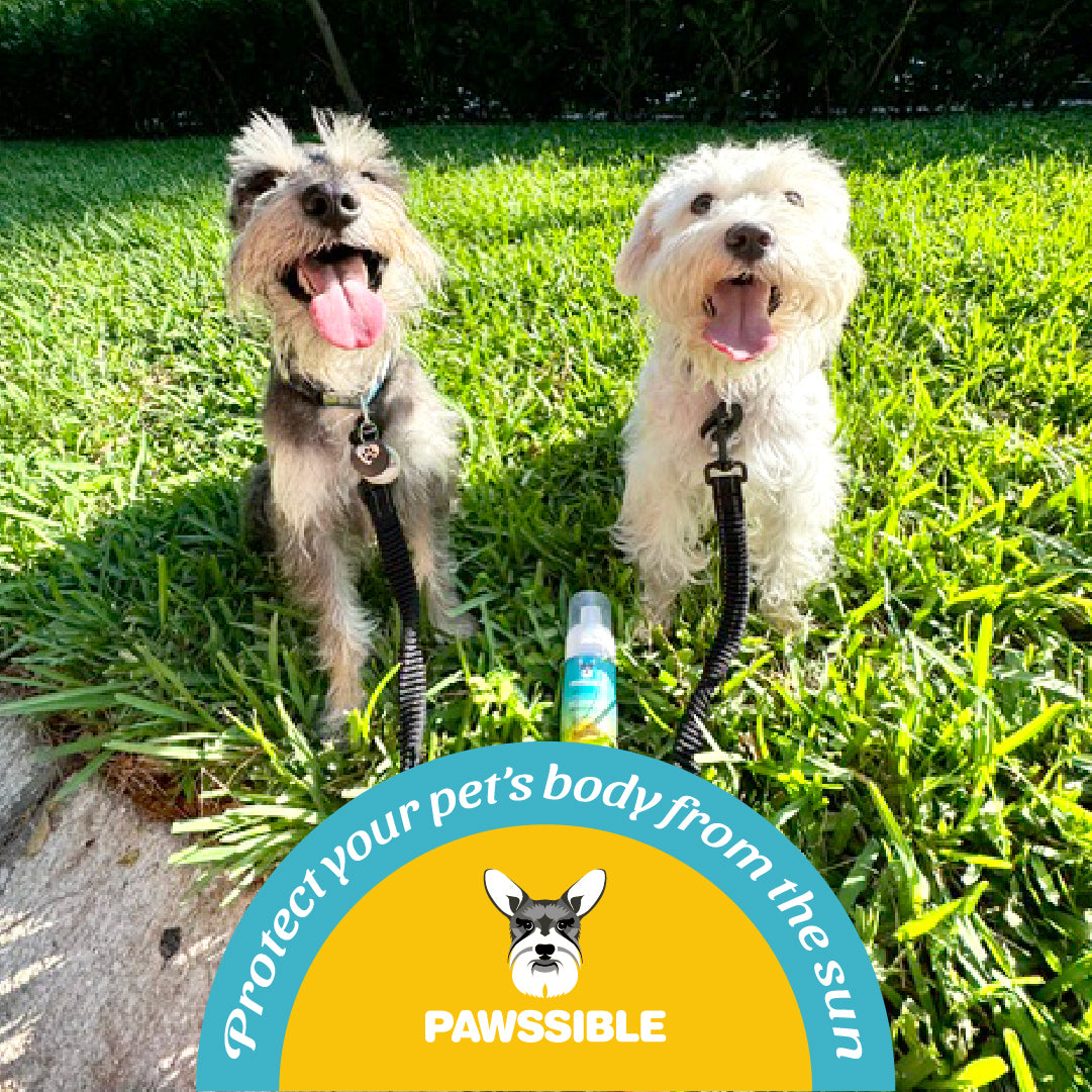 Pawssible Pet Sunscreen