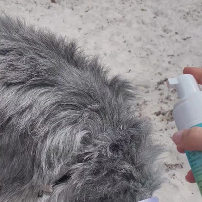 Pawssible Pet Sunscreen